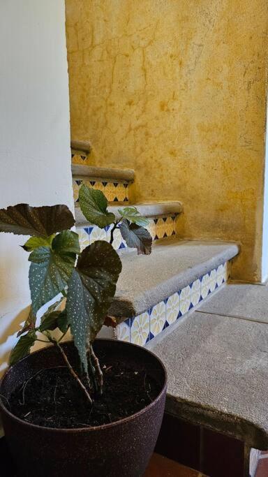Casa Candelaria Antigua